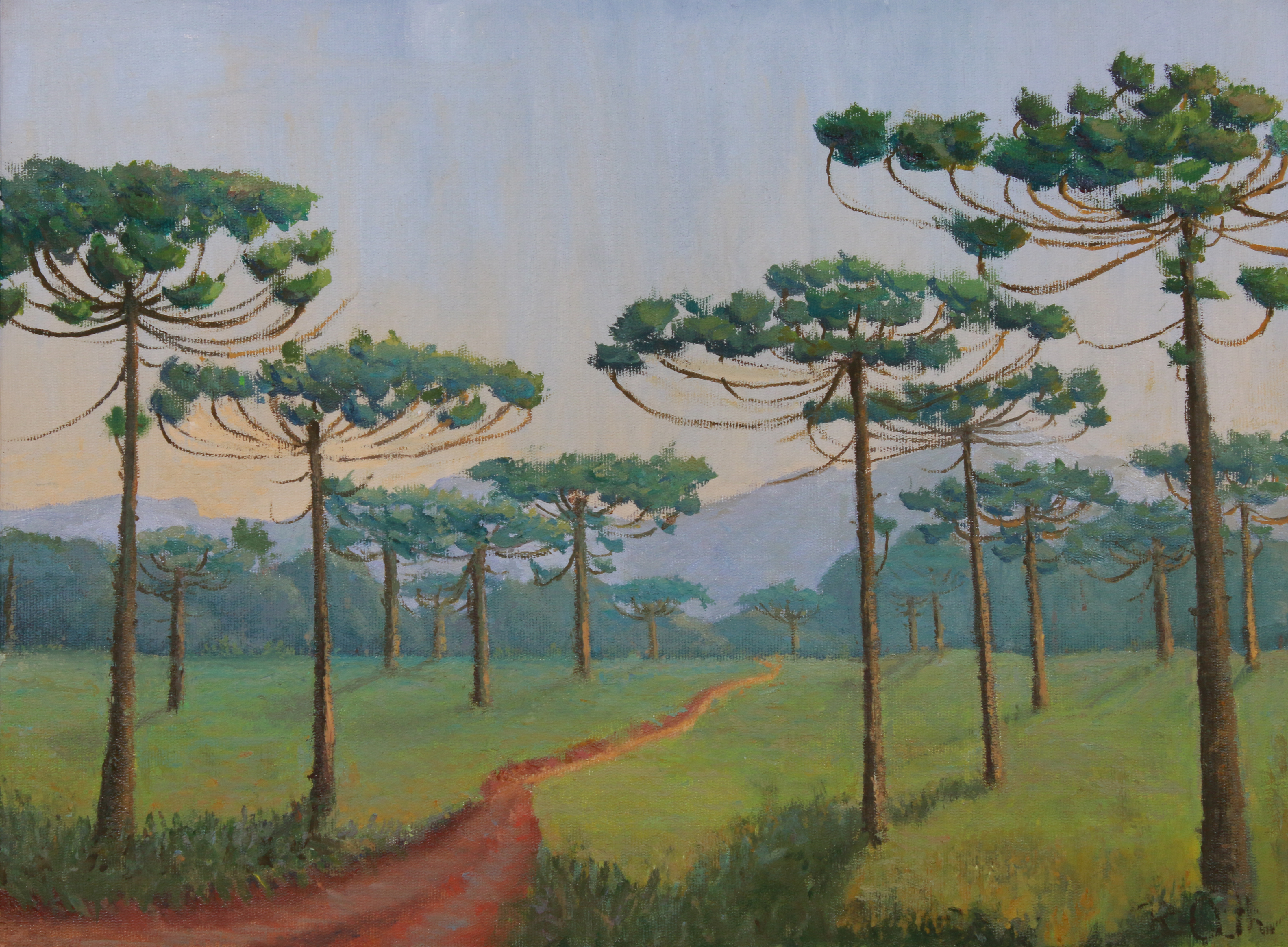 Rose Orth - Araucárias - sul do Brasil